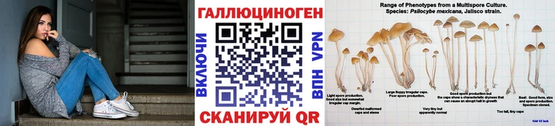 где купить наркоту  Пенза  Псилоцибиновые грибы прущие грибы 